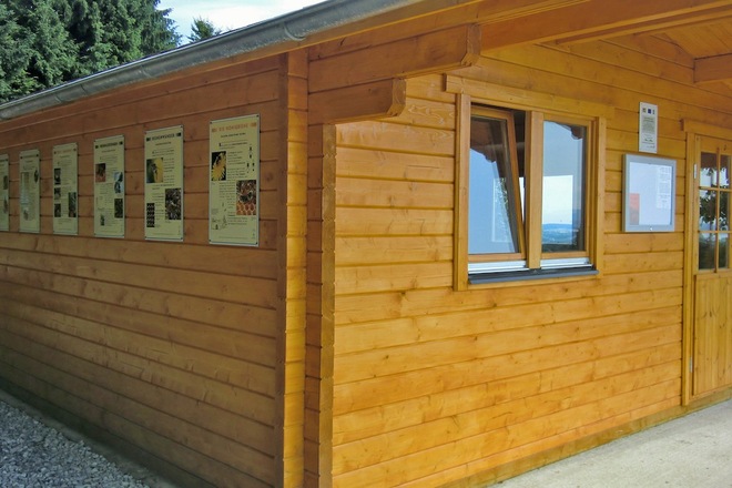 Station 12: Bienenlehrstand
