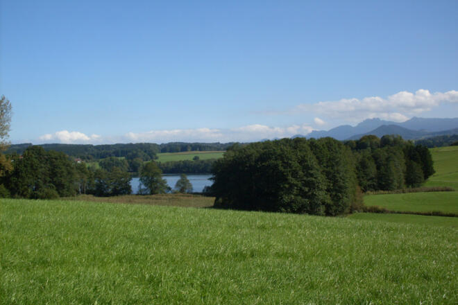 Blick auf den Tinninger See