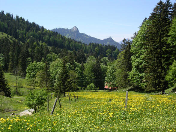 Auf dem Rückweg zur Spatenau Alm