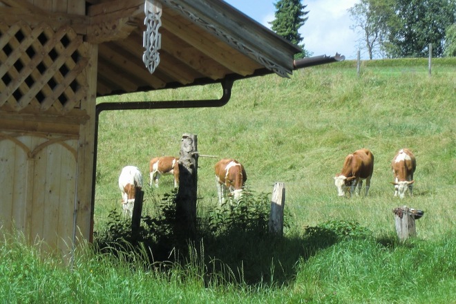 Station 3: Ur-Prien (Westenbach) mit Infotafel
