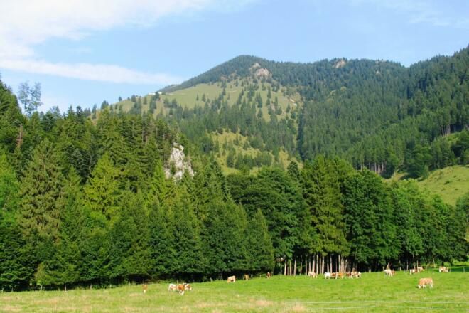 Ausblick von der Doagl-Alm