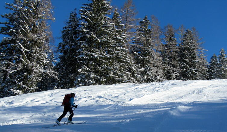 Im Pistenabschnitt - links und rechts gibt es immer wieder &quot;Tiefschnee&quot;!