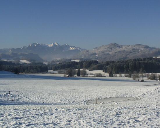 Die Samerberger Filze auch im Winter ein Genuss