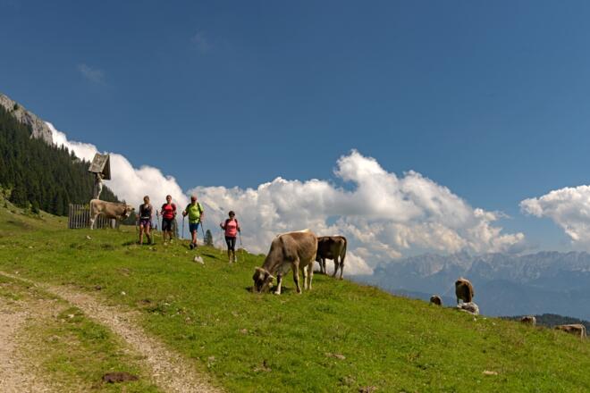 Wandern im Brünnsteingebiet/Himmelmoos Almen