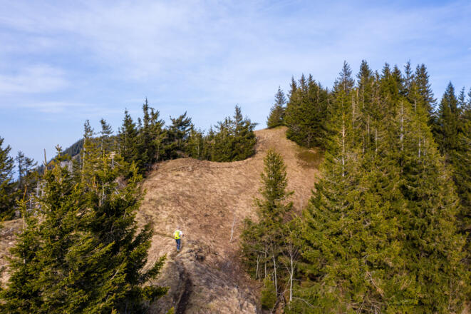 Die letzten Meter zum Karkopf verlaufen wieder sanft.