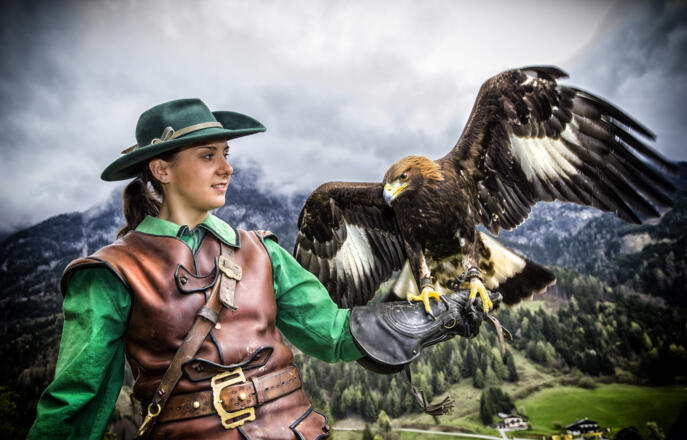 Falknerei auf der Burg Hohenwerfen