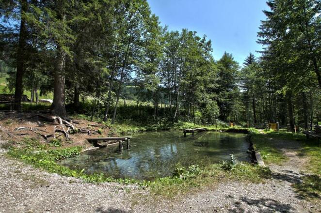 Fischteich Lammertal Laemmerhof