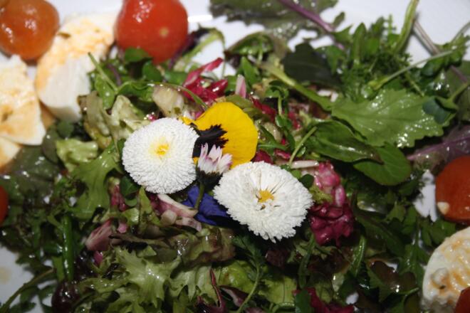 Agathon, Frühlingserwachen