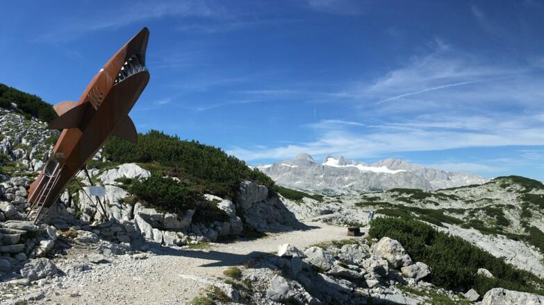 Dachstein-Hai