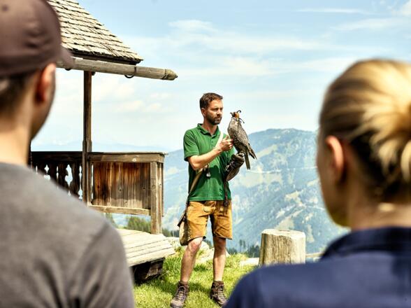 Greifvogelschau Rauriser Hochalmbahnen