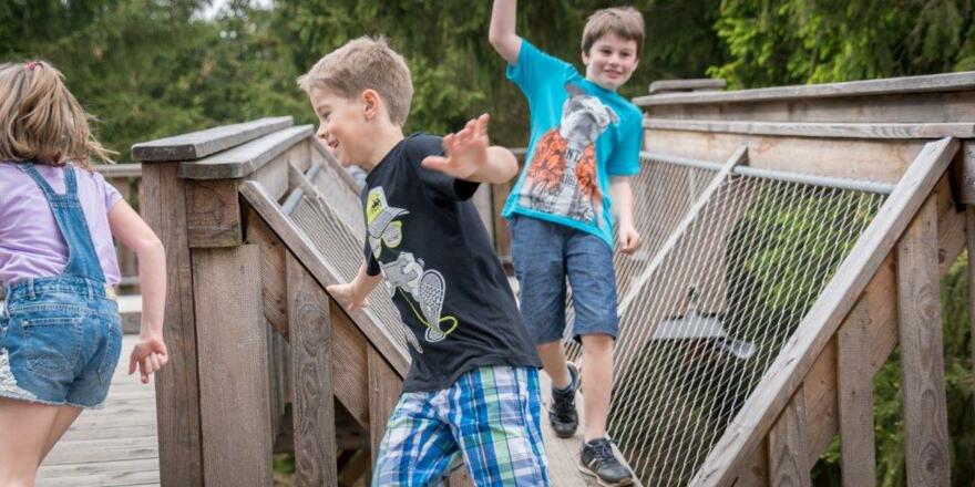 Baumkronenweg Erlebnisstation