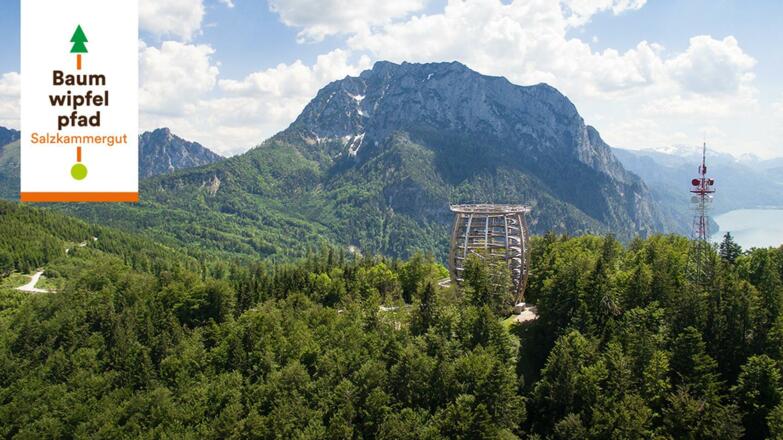 Luftaufnahme Turm im Herbst