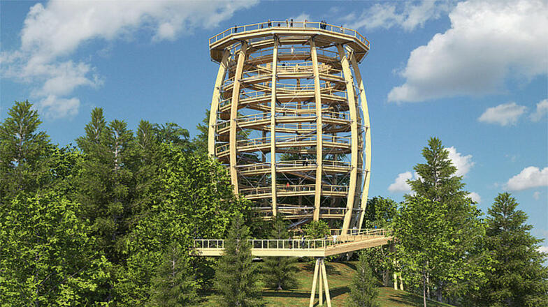 csm_baumwipfelpfad_f16239f866