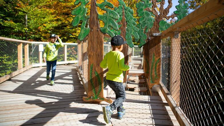 BWP-SKG_X9A2616_Pfad_Sommer©eak