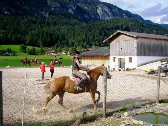 Reiten am Haflingerhof