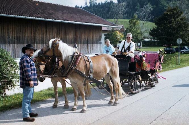 Kutschefahrten am Haflingerhof