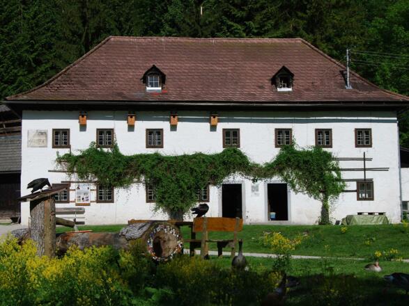 Konrad Lorenz Forschungsstelle Grünau Almtal