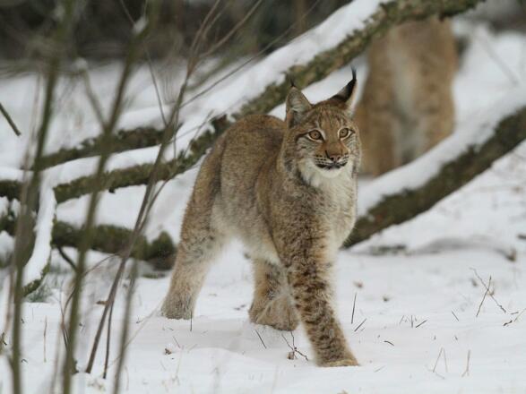 Herrliche Landschaft