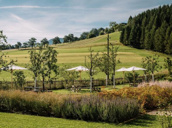 GRÜNE ERDE-WELT Bio - Bistro Blick nach Steinbach