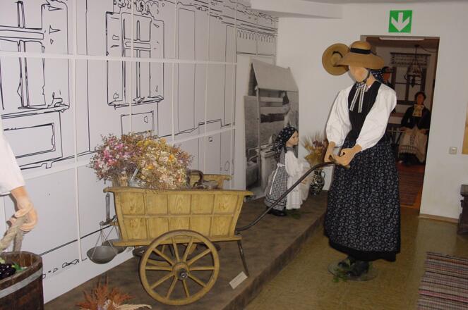 Heimat- und Landlermuseum in Bad Goisern