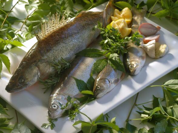 Fischplatte angerichtet