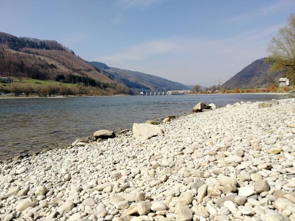 Donaustrand beim Hotel