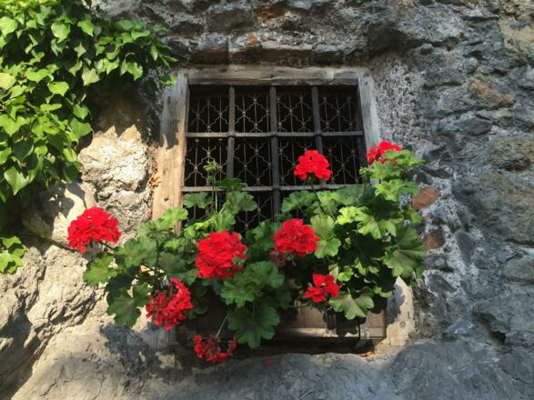 nagelschmiedhaeuser-rattenberg-29-