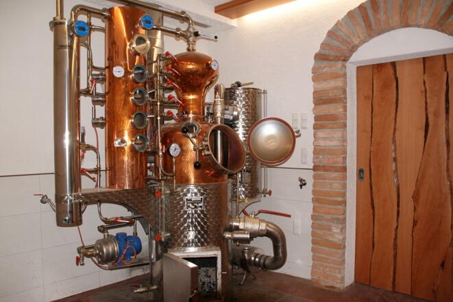 Radlerbauernhof Moser