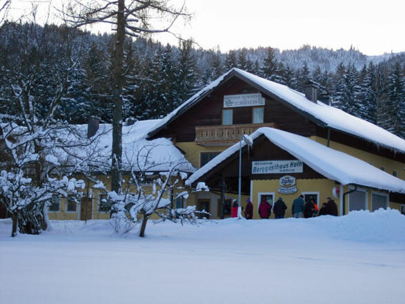 Winteransicht Silberfuchs