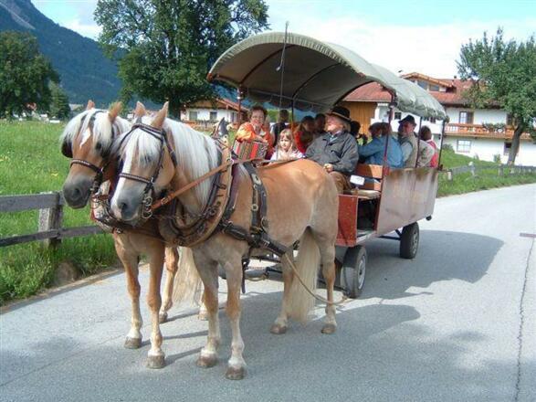 Kutschenfahrt Hauserwirt Münster