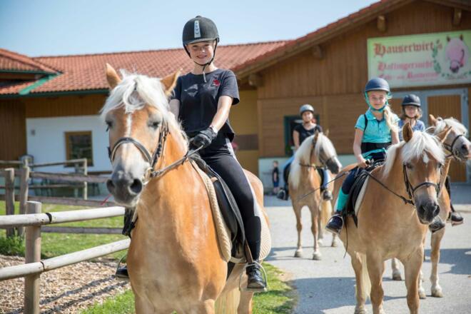 Kinder beim Ausreiten mit den Haflingerpferden