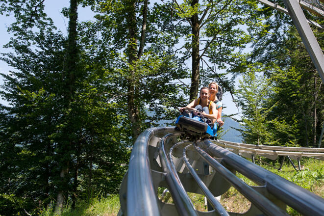 Alpine Coaster - Bild 2