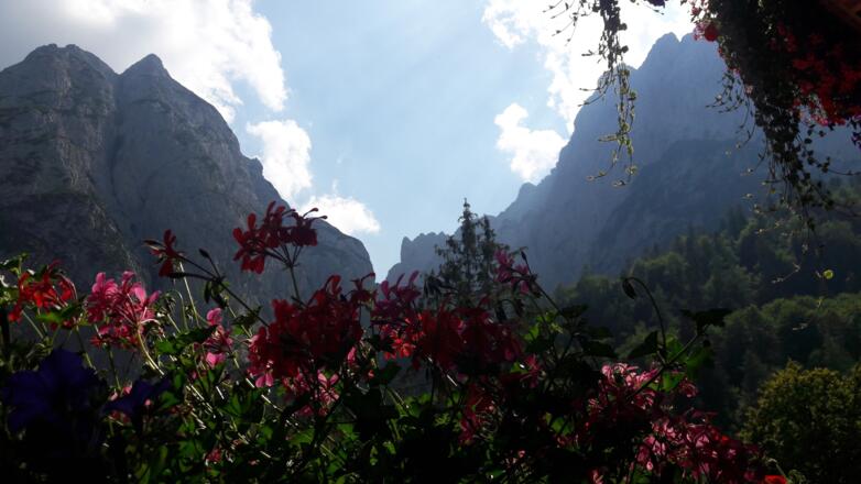 Alpengasthaus Griesneralm