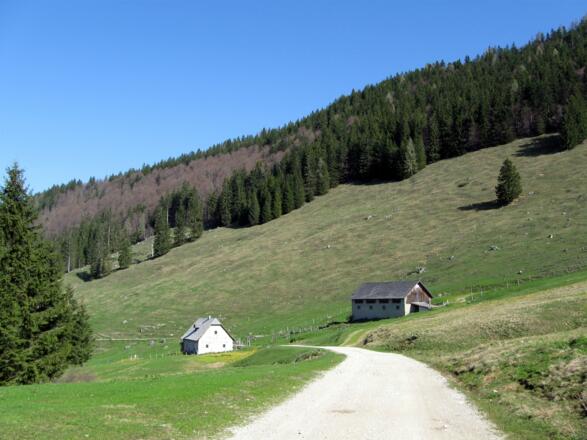 Bald erreicht man die Hütten der Dörflmoaralm.