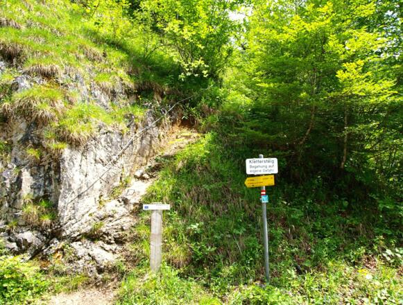 Einstieg Triftsteig 515m