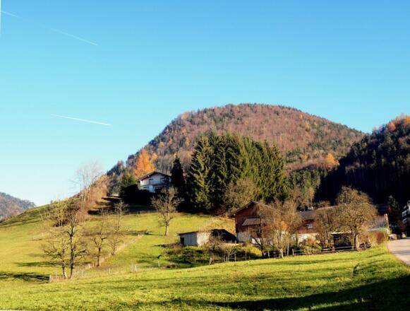 Zuckerhut von ~550m, Grünau