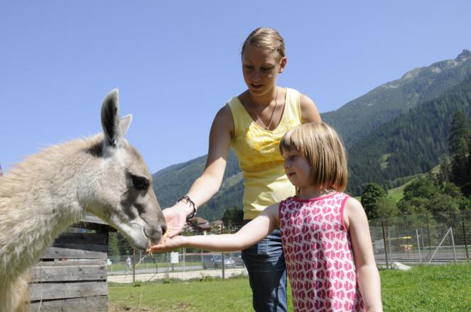 Wildpark Untertauern