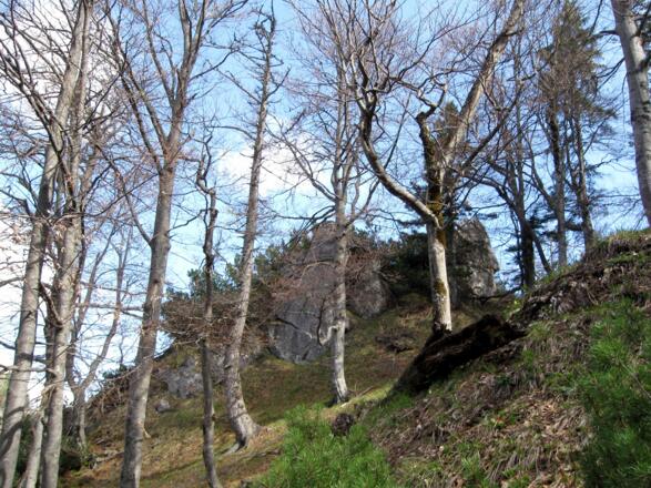 Eine fast mystische Landschaft.