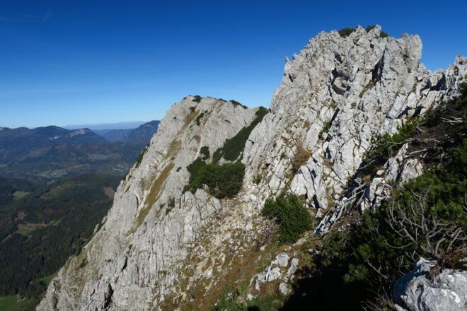 Jeden Gupf bestieg ich aber nicht, so wich ich hier in die Westflanke aus, die schon ausgesetzt war