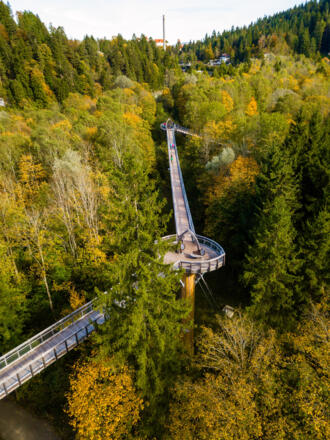 Baumkronenweg von oben