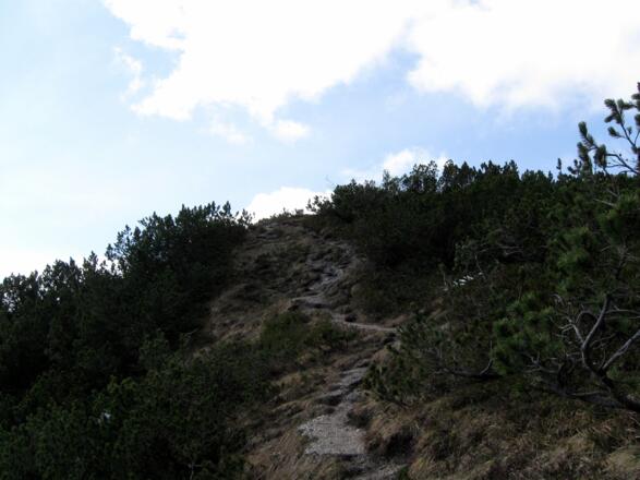 Blickrichtung Gipfel. Das schmale Steiglein endet unmittelbar beim Gipfelkreuz.
