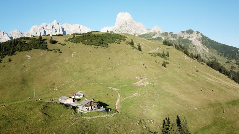 Mahdalm mit Bischofsmütze