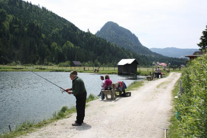 Forellenteich Gosau
