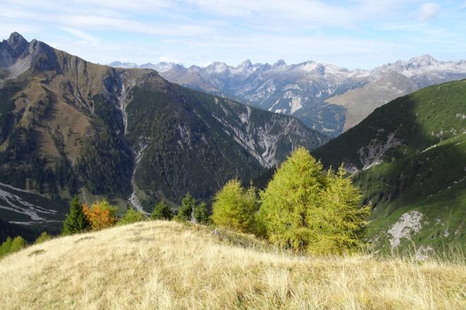 Kurz vor dem Lärchenwald