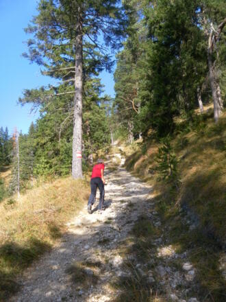 Wanderweg zur Jochalm