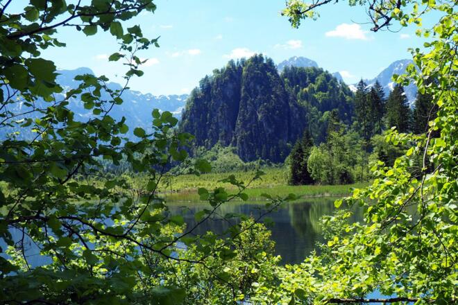 Ameisstein 776m vom Ostufer des Almsees