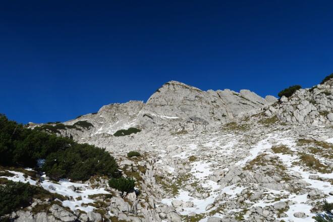 Endlich Sonne, die Jacke konnte in den Rucksack, die Sonnenbrille auf die Nase. So konnte ich den Mitterberg von Süden besteigen