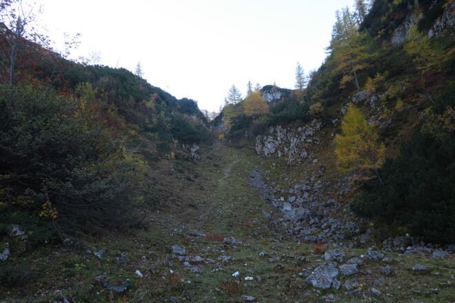 Hinter der Hütte beginnt der Steig zum Schafplan, der ganz passabel ausgetreten ist und auch mit etlichen Steinmännchen versehen ist
