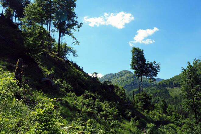 Nordseitiger Steilabstieg vom Ameisstein