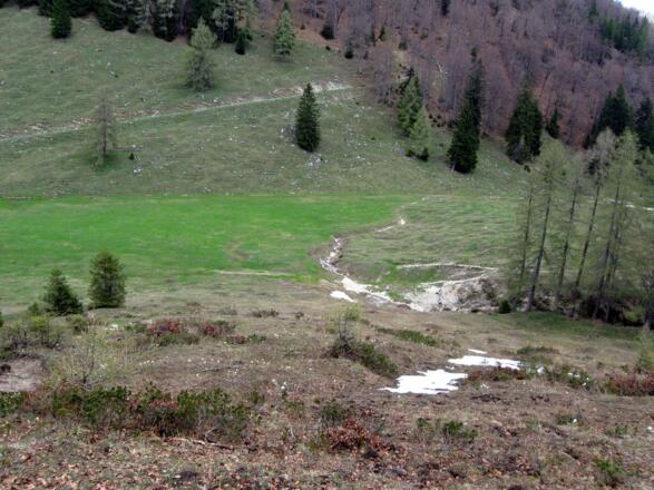 Über den Steig über die Nordflanke erreicht man wieder den Ahornsattel und den Anfangspunkt des Steiges vom Aufstieg.